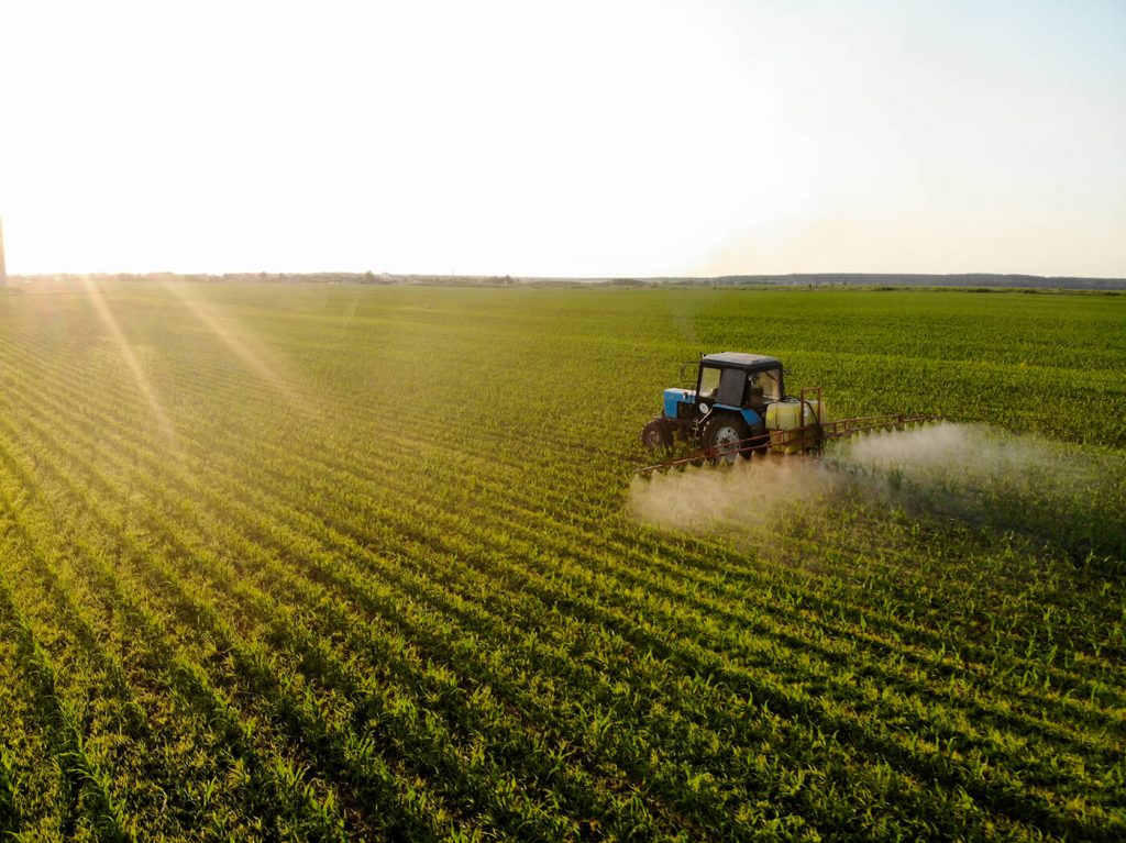 tractor sprays pesticides on corn fields at sunset x